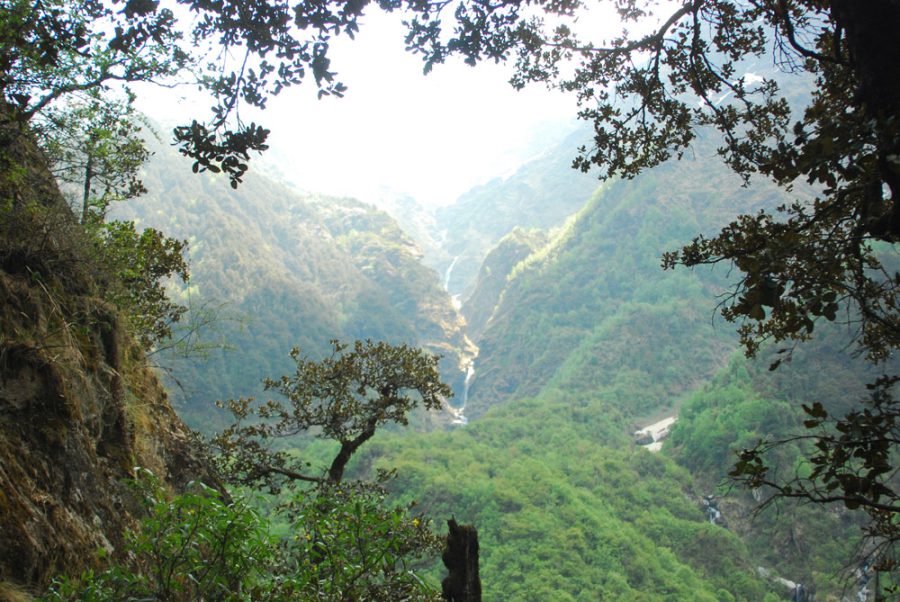 green-beauty-near-gangotri